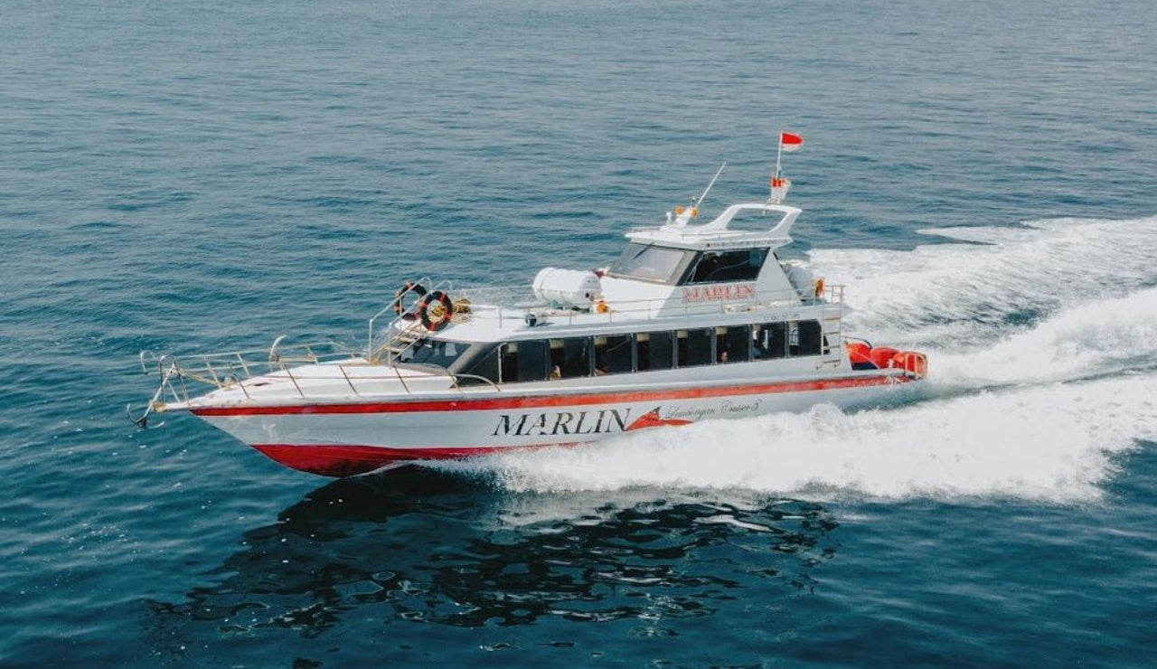 Marlin Fast Boat to Mushroom Bay