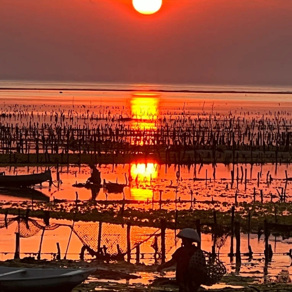 The sunset from Mista Ceningan's Bar in Nusa Ceningan