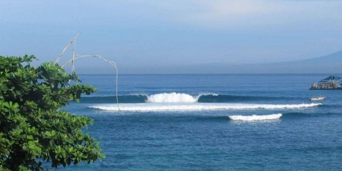 A scenic ocean view of Playgrounds Surf Break with blue water, a wave breaking in the centre, distant landforms on the horizon, a small boat on the right, and green tree branches and leaves in the foreground.
